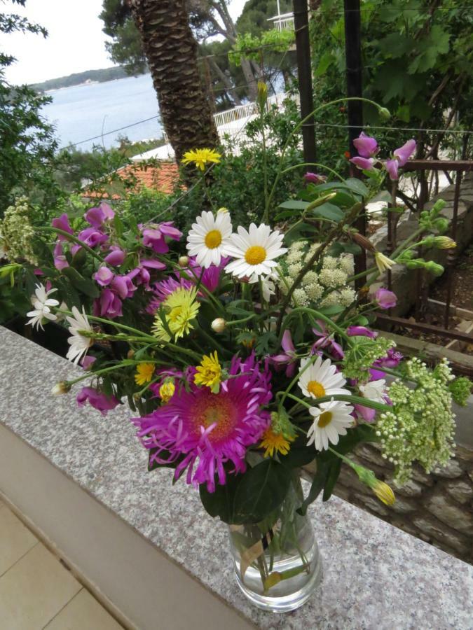 Great Apartment Mali Lošinj Exterior foto